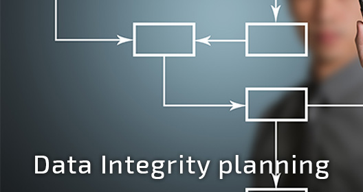 Data Integrity Planning