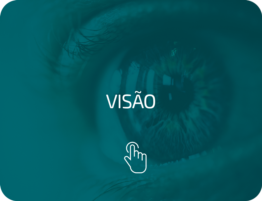 Visão-hover-1_1a