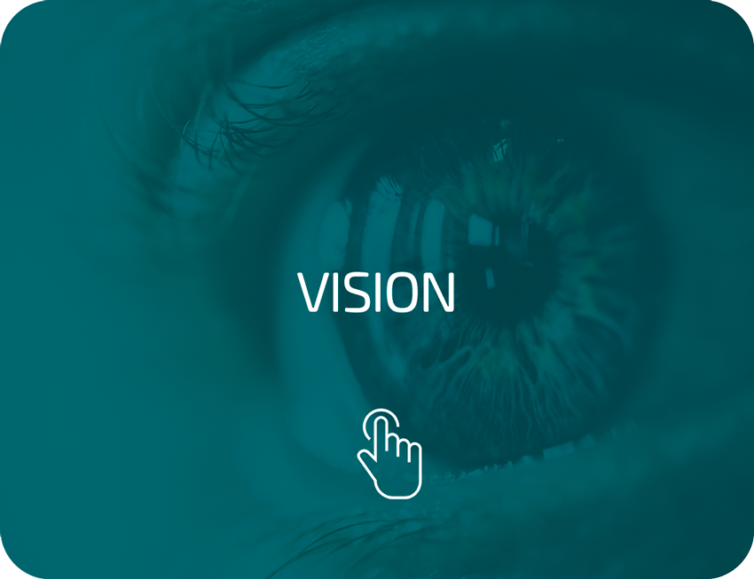 Vision-hover-1_1a
